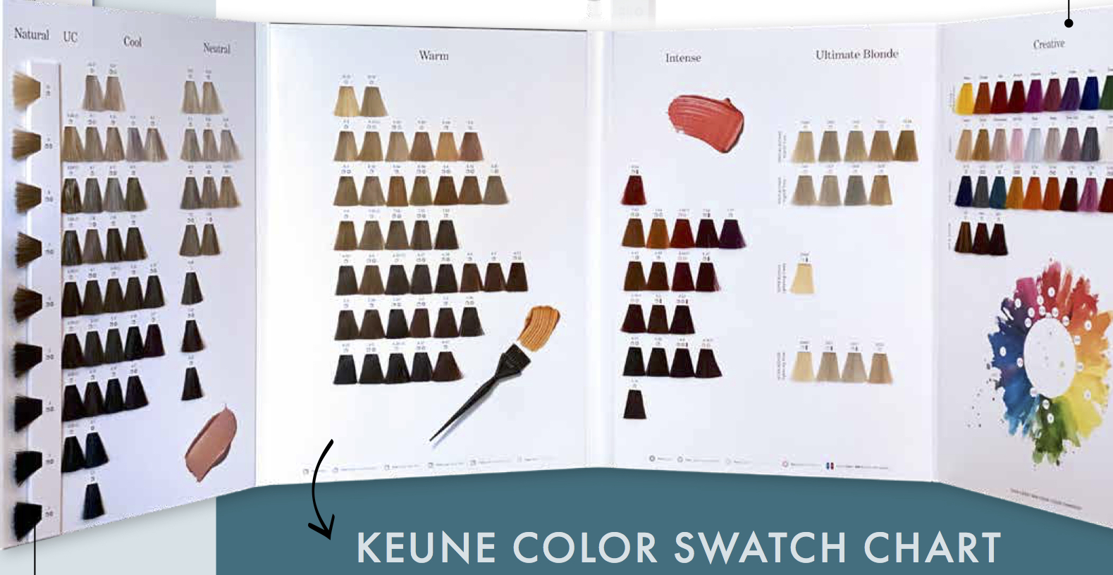 Keune Ultimate Color Chart